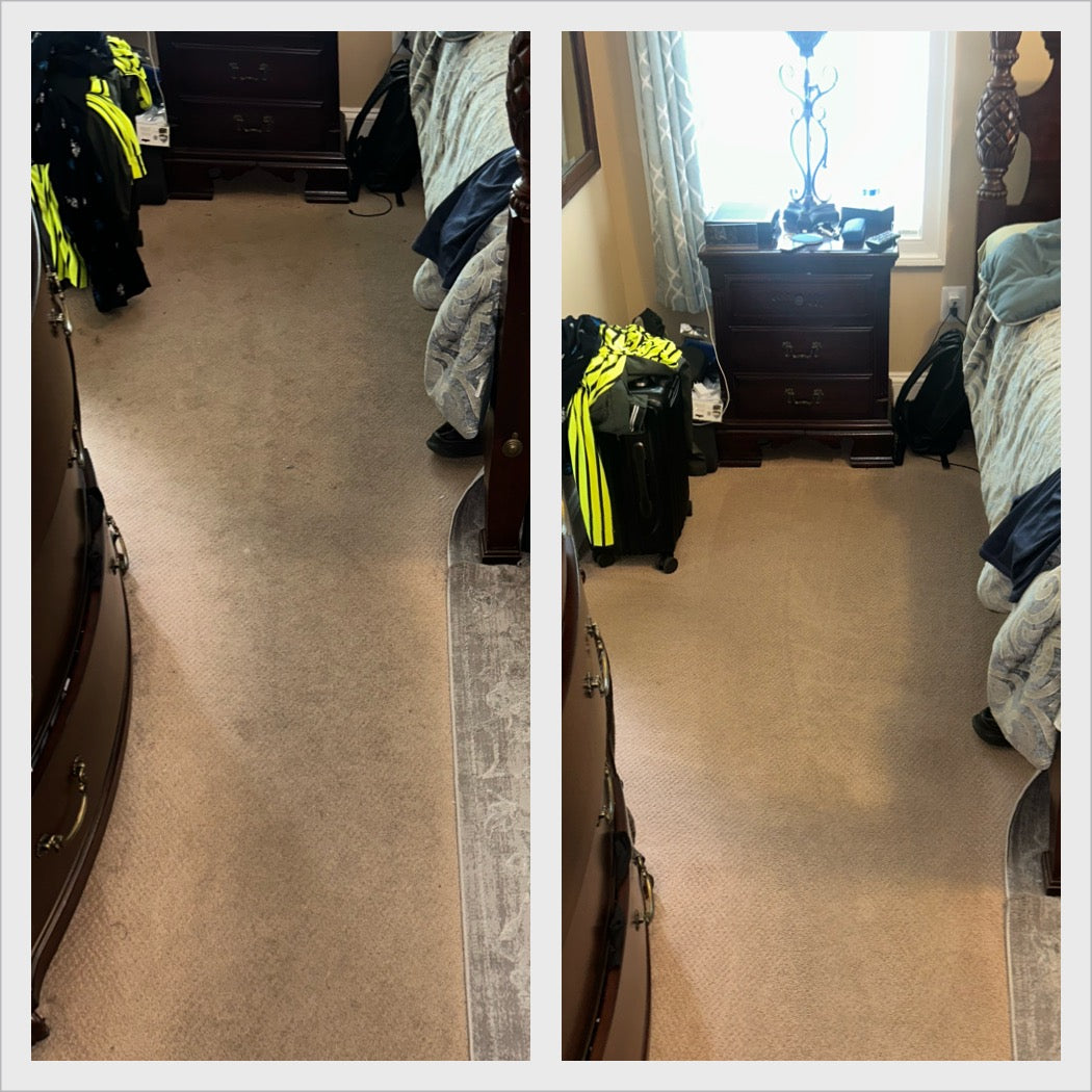 Carpet Care