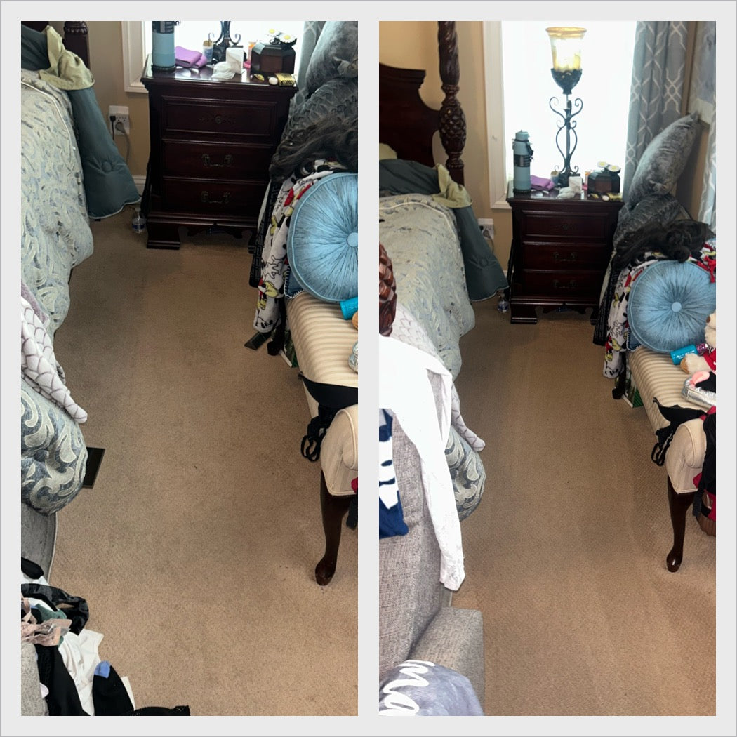 Carpet Care